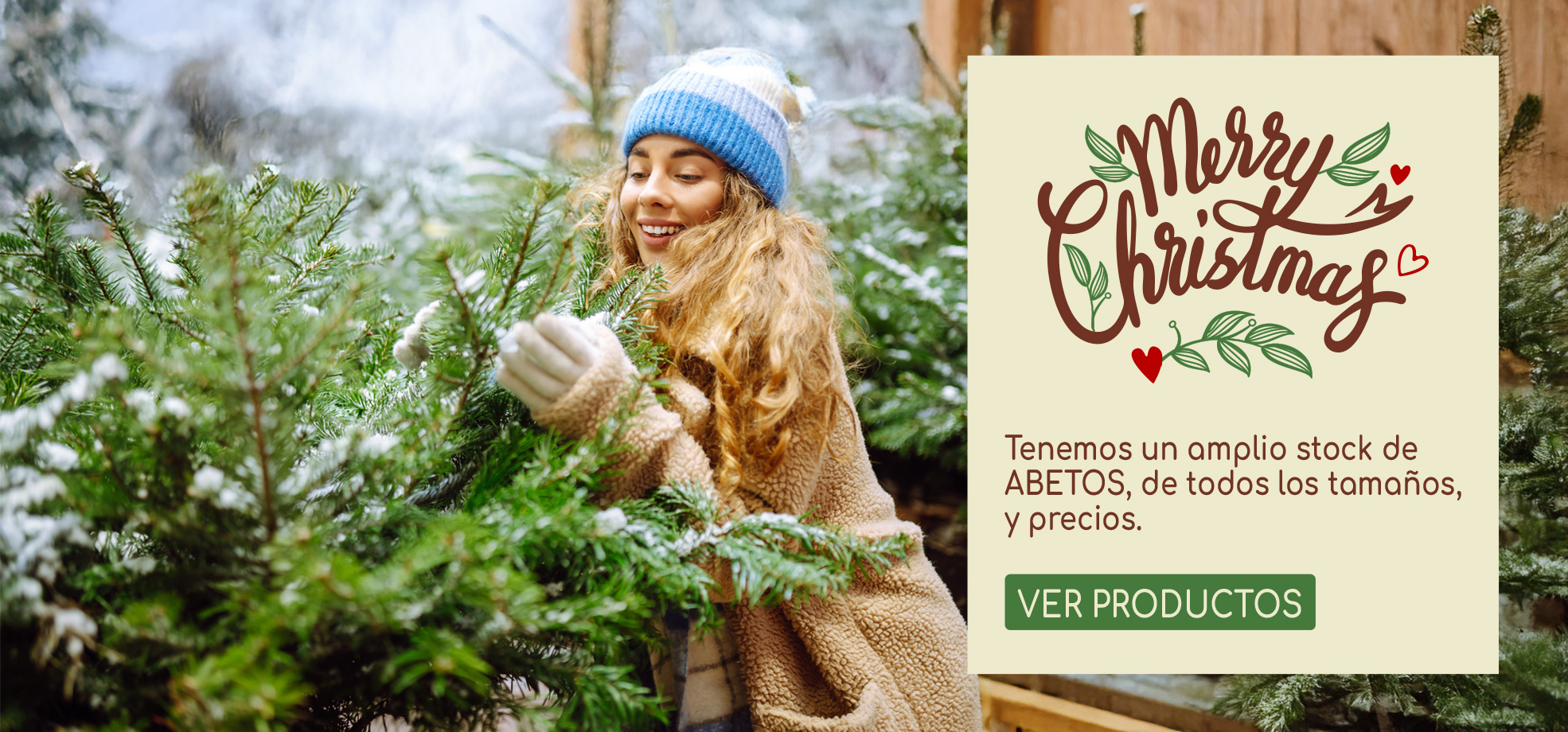 Playgarden, Vivero de Plantas y Flores en Madrid especial Navidad